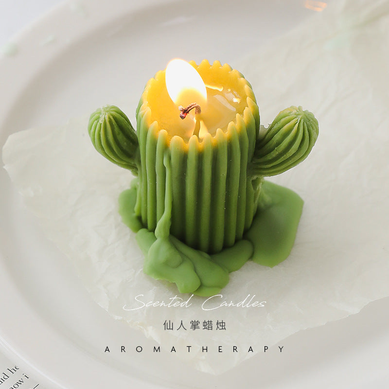 cactus aromatherapy candles