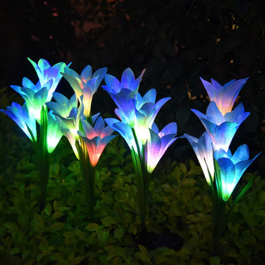 What Are the Best Outdoor Lights for Garden Pathways and Walkways?