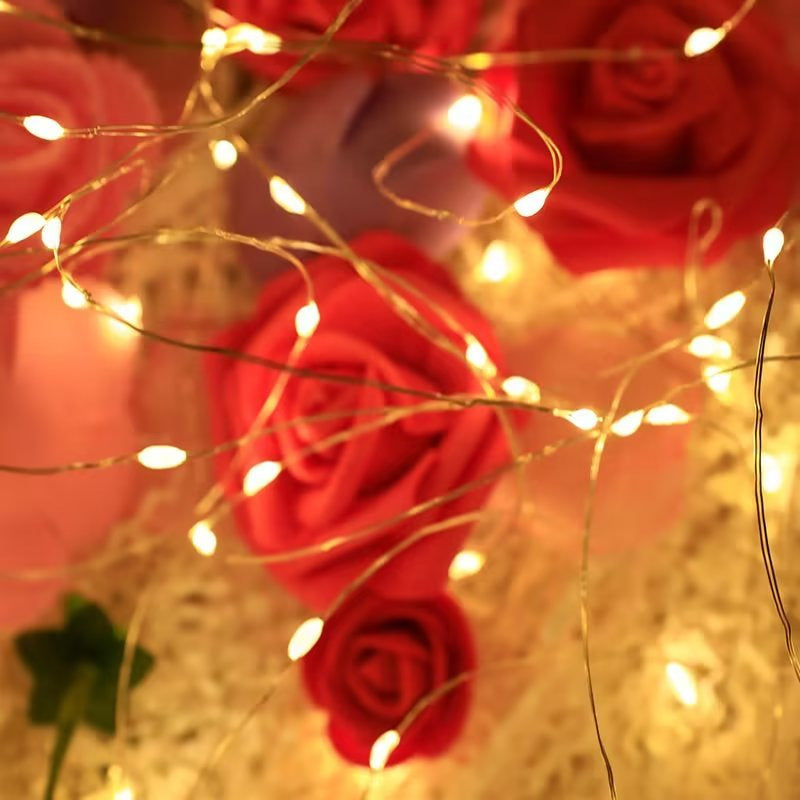 micro string lights